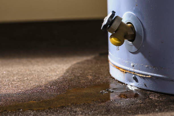 Best Water damage cleanup near me  in Madison, MS
