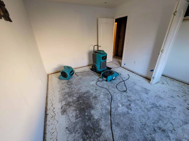 Best Basement water damage restoration  in Madison, MS