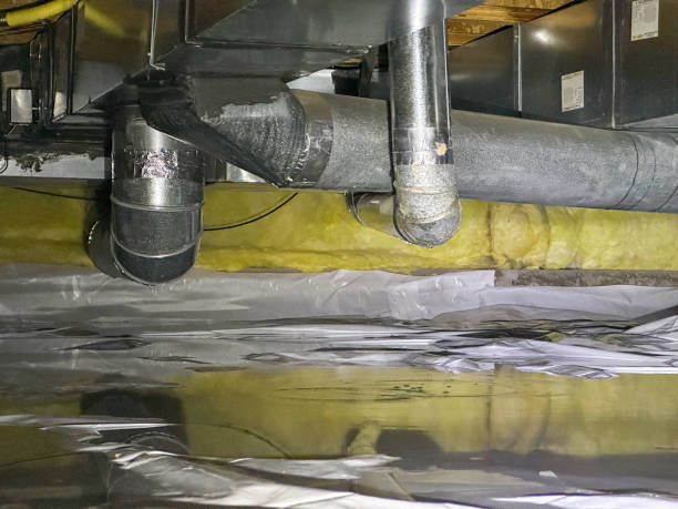 Best Flooded house restoration  in Madison, MS