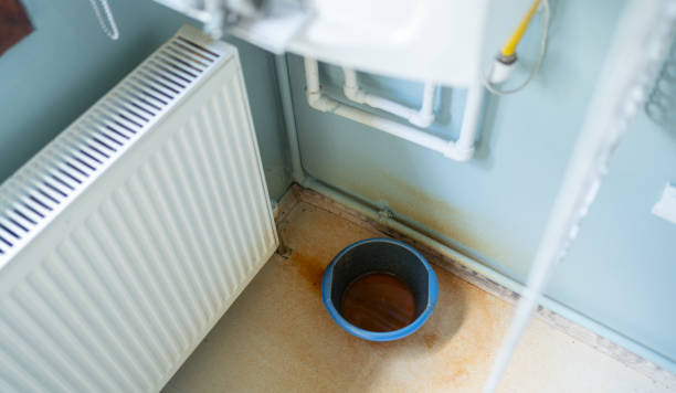 Best Mold removal after water damage  in Madison, MS