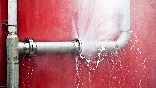 Best Water damage restoration process  in Madison, MS