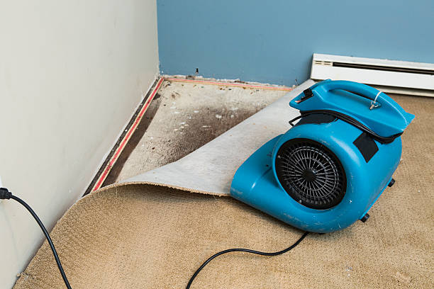 Best Flood restoration services  in Madison, MS